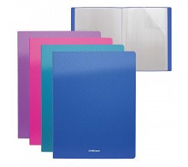 ПАПКИ С ВКЛАДЫШАМИ