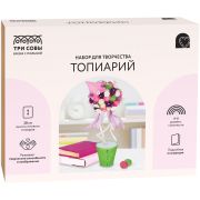 Набор для творчества ТРИ СОВЫ, топиарий «Цветущий домик», картонная коробка
