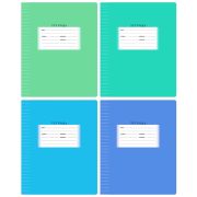 Тетрадь линия А5 12 листов BG «Школьная», эконом