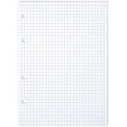 Сменный блок для тетрадей белый А5 80 л клетка BG, пленка т/у