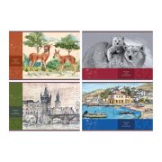 Альбом для рисования 32л., А4, на скрепке BG «Пейзажи»