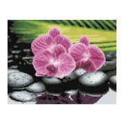 Алмазная мозаика ТРИ СОВЫ «Орхидеи на камнях», 30*40см, холст, картонная коробка с пластиковой ручкой