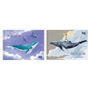 Скетчбук 60л., А5 BG «Киты», на гребне, матовая ламинация, выборочный лак, 120г/м2